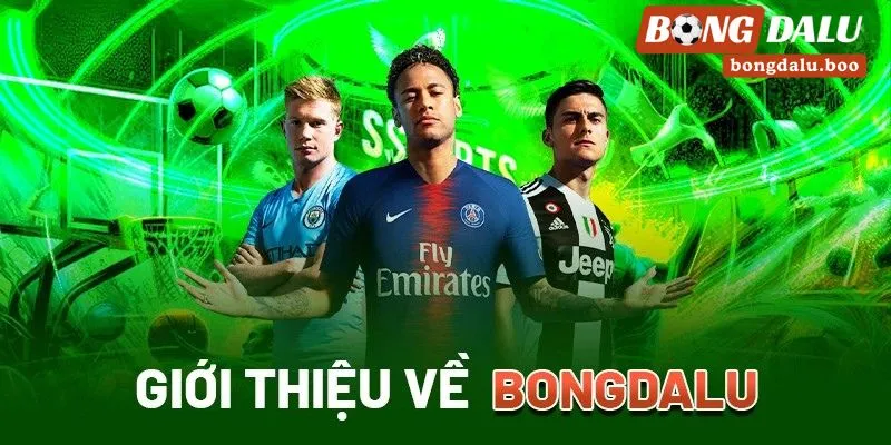 Giới thiệu về trang chủ Bongdalu