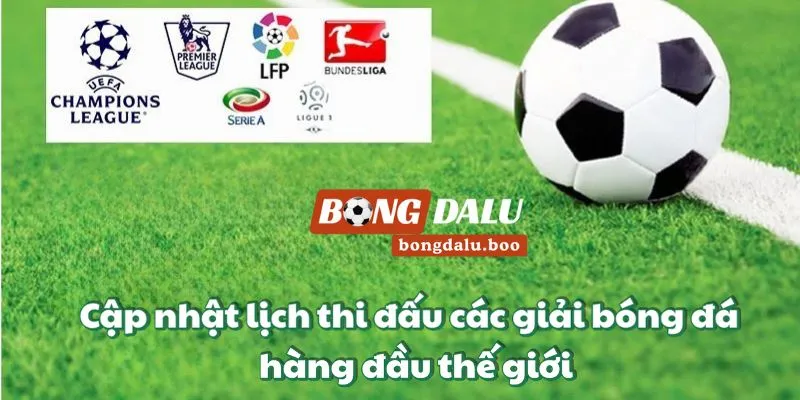 Bongdalu chuyên cập nhật lịch thi đấu các giải bóng đá hàng đầu thế giới